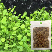 Load image into Gallery viewer, New Aquarium Landscape Ornament Aquatic Water Grass Mini Leaf Live Plant Fish Tank Decoration Home Garden
