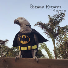 Load image into Gallery viewer, Gingerain Bird clothes Parrot diaper Black bat original hand-made custom bird clothes Black bat

